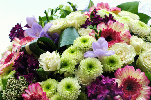 829522 (a): :2500x1660